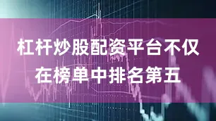 杠杆炒股配资平台不仅在榜单中排名第五