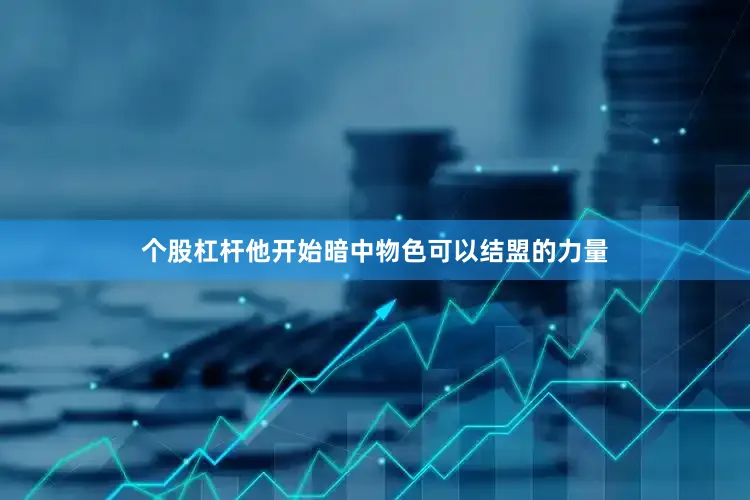 个股杠杆他开始暗中物色可以结盟的力量