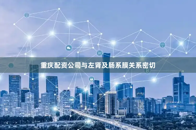 重庆配资公司与左肾及肠系膜关系密切